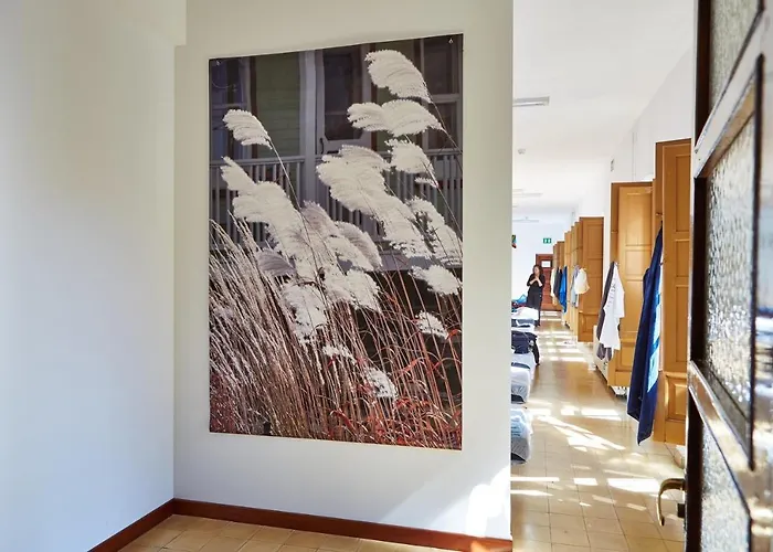 Seminario Menor * サンティアゴ・デ・コンポステーラ